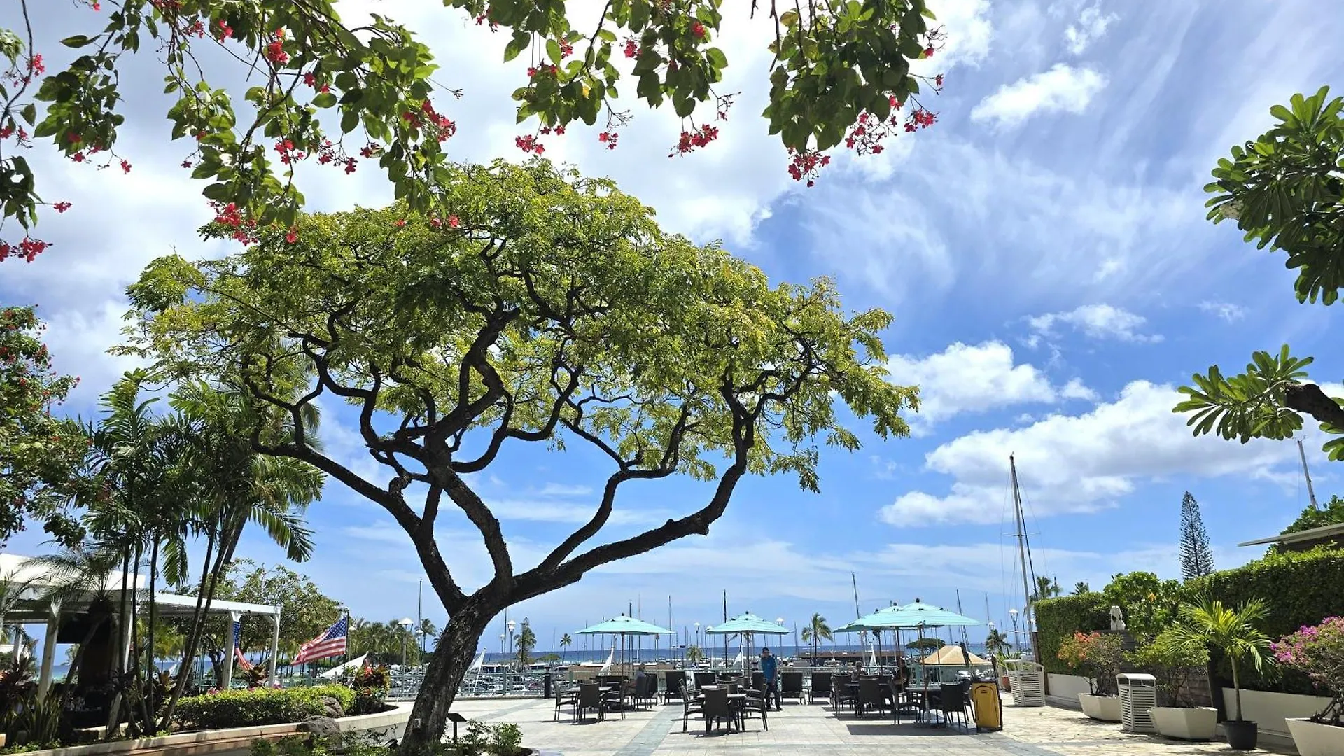 New Aloha Waikiki Ilikai Hotel Condo Free Parking Honolulu Aparthotel